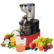 Electric Cold Press Juicer Machine product