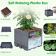Planter Box with Trellis (2-Pack) product