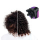 Shark 2-in-1 Concentrator Hair Blow Dryer product