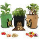 Potato Planter Bags product