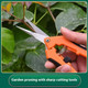 Spring Style Garden Clippers (1- or 3-Pack) product