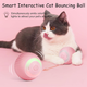 Rechargeable Rolling Ball for Indoor Cats product