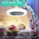 Socket Fan Light product