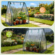 Outdoor Mini  Greenhouse product