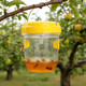 Solar Wasp Trap (3-Pack) product