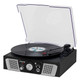 Lakeshore 5-in-1 Hybrid Bluetooth Turntable System product
