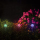 Solar Garden RGB Ball Light (3-Pack) product