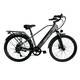 GoPowerBike GoScout Adult Electric Bike product