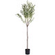 5.9-foot Artificial Olive Tree product
