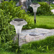 Solar Garden Light (4-Pack) product