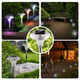 Solar Garden Light (4-Pack) product