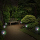 Solar Garden Light (4-Pack) product