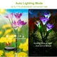 Solar Garden Flower Lights (2-Pack) product
