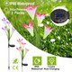 Solar Garden Flower Lights (2-Pack) product