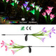 Solar Garden Flower Lights (2-Pack) product