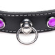 Master Series Royal Vixen Black Leather Choker Necklace product