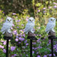 Owl-Shaped Solar Garden Stake Light product