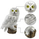 Owl-Shaped Solar Garden Stake Light product