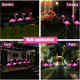 Pink Flamingo Solar Landscape Light (1- to 3-Pack) product