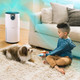 Shark Nanoseal HEPA Air Purifier MAX with Clean Sense product