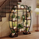 10-Tier Indoor Plant Stand with Grow Lights product