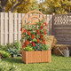 Wooden Raised Garden Bed with Trellis (1 or 2-Pack) product
