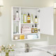 Bathroom Wall Cabinet with Mirror product