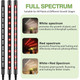 Grow Lights for Indoor Plants product