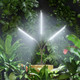 Grow Lights for Indoor Plants product