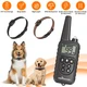 Dog Training Collar with Remote (1 or 2 Collars) product
