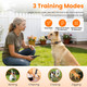Dog Training Collar with Remote (1 or 2 Collars) product
