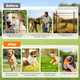 2-in-1 Wireless Dog Fence and Training System (1 or 2 Collars) product