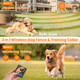 2-in-1 Wireless Dog Fence and Training System (1 or 2 Collars) product