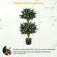 Artificial Double Ball Boxwood Topiary Tree (2-Pack) product