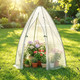 Portable Mini Walk-in Greenhouse  product