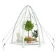 Portable Mini Walk-in Greenhouse  product