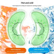 Hot & Cold Reusable Gel Eye Patches (1- or 4-Pack) product
