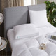 Martha Stewart Feather and Down Pillows (Set of 2) product