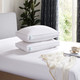 Martha Stewart Feather and Down Pillows (Set of 2) product
