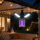 Rechargeable Outdoor Bug Zapper and Camping Lantern product