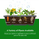 5-Tier Vertical Raised Garden Bed Planter Box (1- or 2-Pack) product