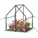 Portable Mini Green House  product