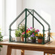 Portable Mini Green House  product