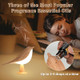 Bird Shaped Essential Oil Diffuser Night Light product