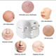 Light Therapy Pro LED Face Mask product