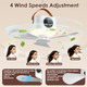 2-in-1 Camping Fan with Light  product