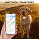 4G Pet Gps Tracker With Real-time Positioning,long Standby Geofence Alerts Multi-band Waterproof Locator For Dogs Outdoor Pets Size L product