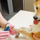 2-Speed Pet Nail Grinder product