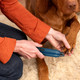 2-Speed Pet Nail Grinder product