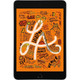 Apple iPad Mini 2nd Gen 7.9", 32GB (2013) product
